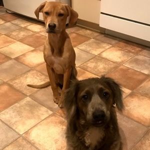 Meet your Posher, Donna